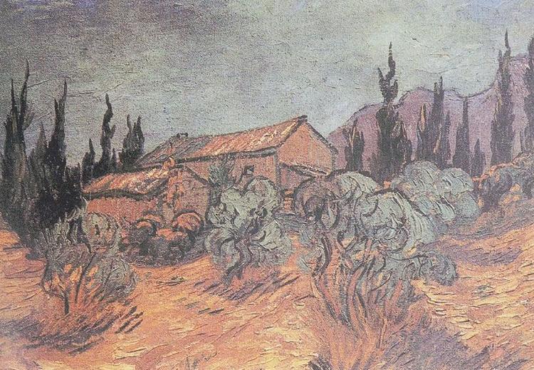 Vincent Van Gogh Huts surrounded by olive trees and cypresses Germany oil painting art